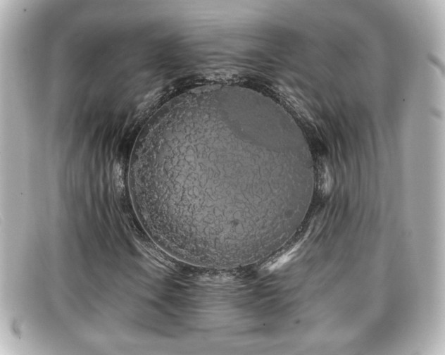 X0000099431106200805091244