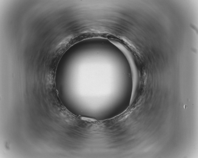 X0000099431110200805091244