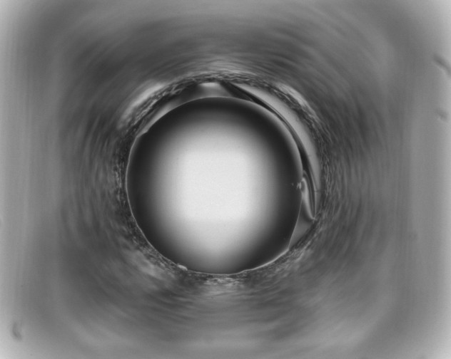 X0000099431112200805091244