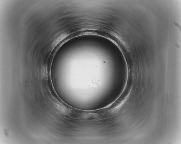 X0000099431113200805091244