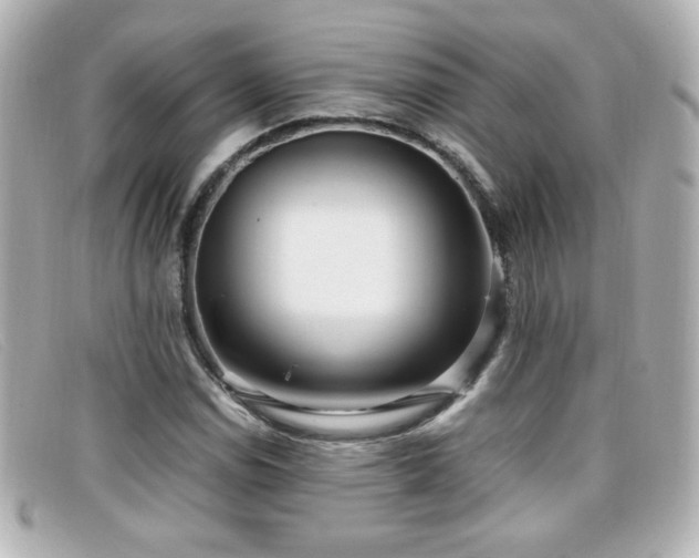 X0000099431114200805091244