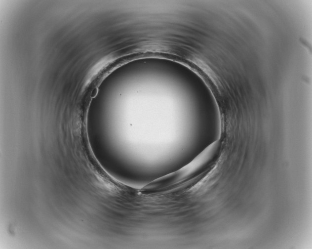 X0000099431115200805091244