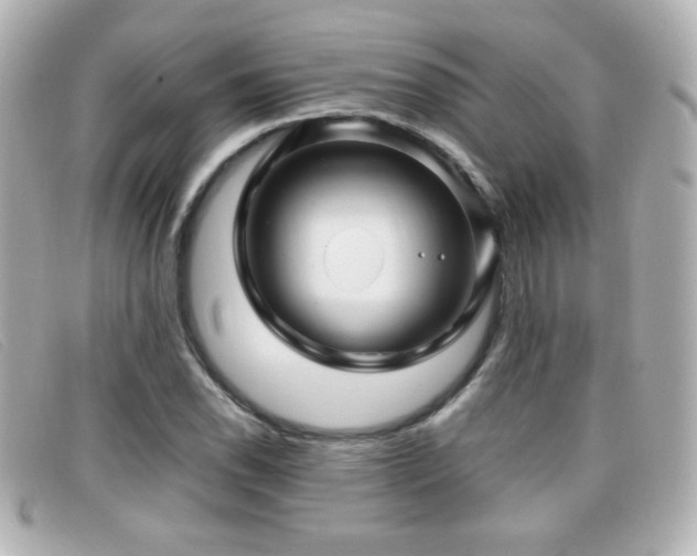 X0000099431118200805091244