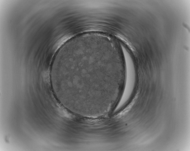 X0000099431121200805091244