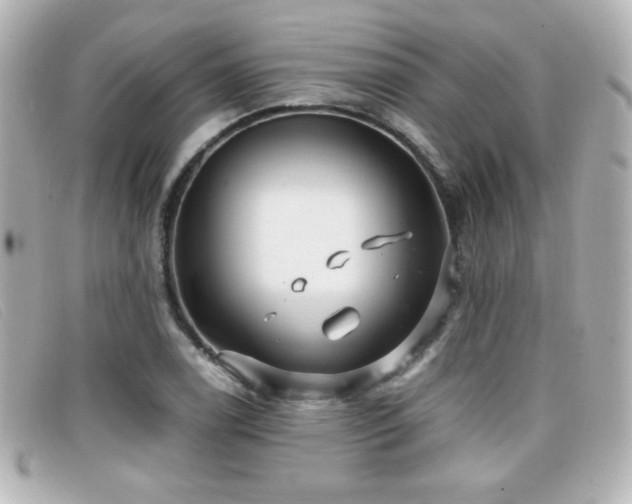 X0000099431122200805091244