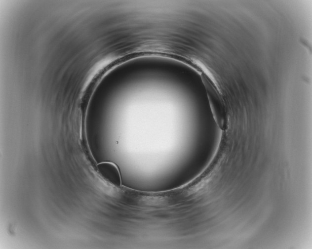 X0000099431123200805091244