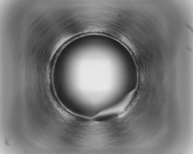 X0000099431124200805091244