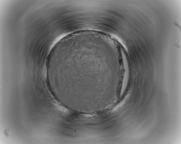 X0000099431125200805091244