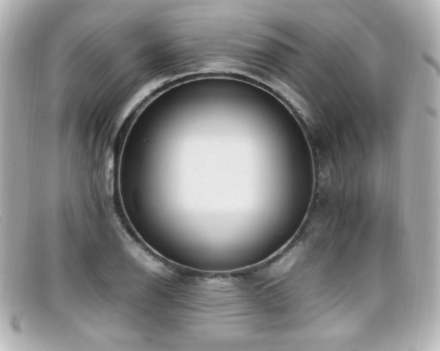 X0000099431126200805091244