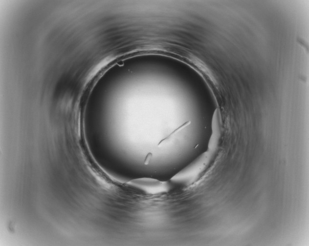 X0000099431127200805091244