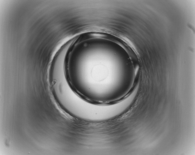 X0000099431128200805091244