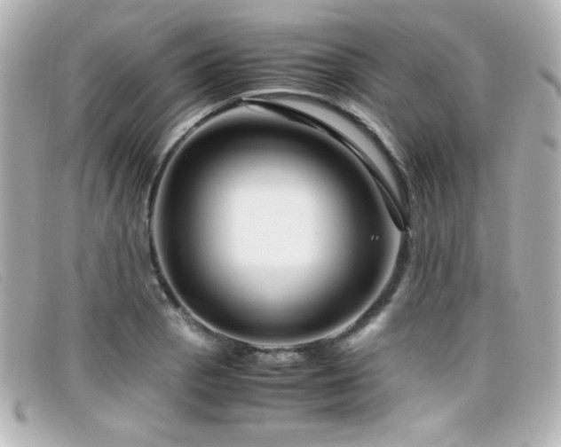 X0000099431129200805091244