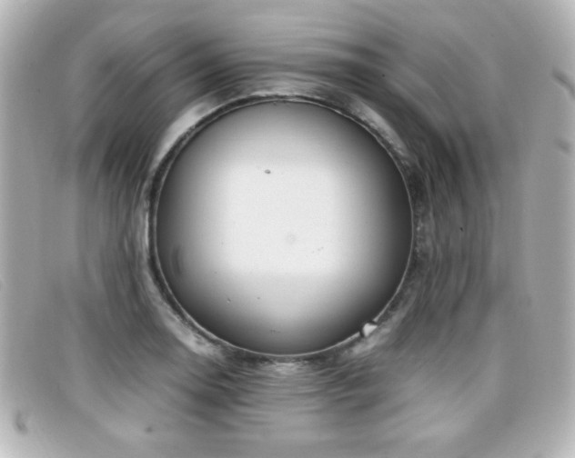 X0000099431130200805091244