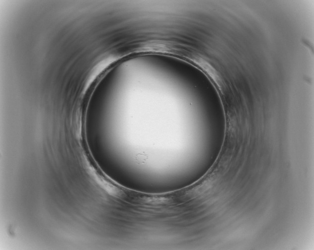 X0000099431131200805091244