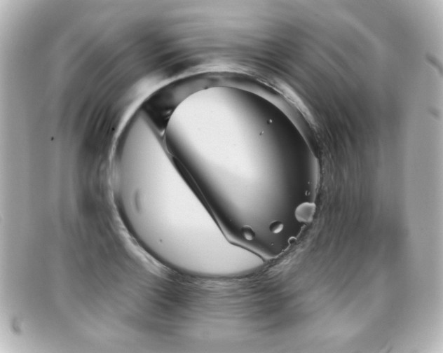 X0000099431132200805091244