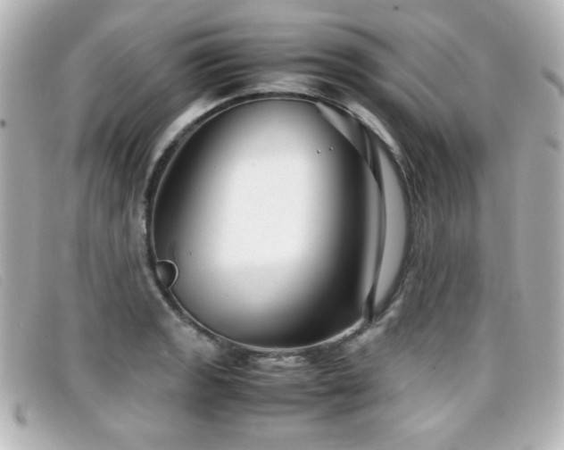 X0000099431133200805091244