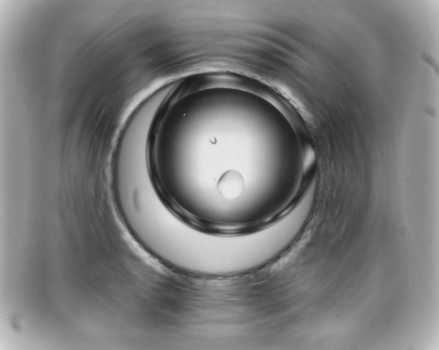 X0000099431134200805091244
