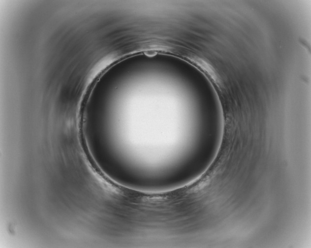 X0000099431135200805091244