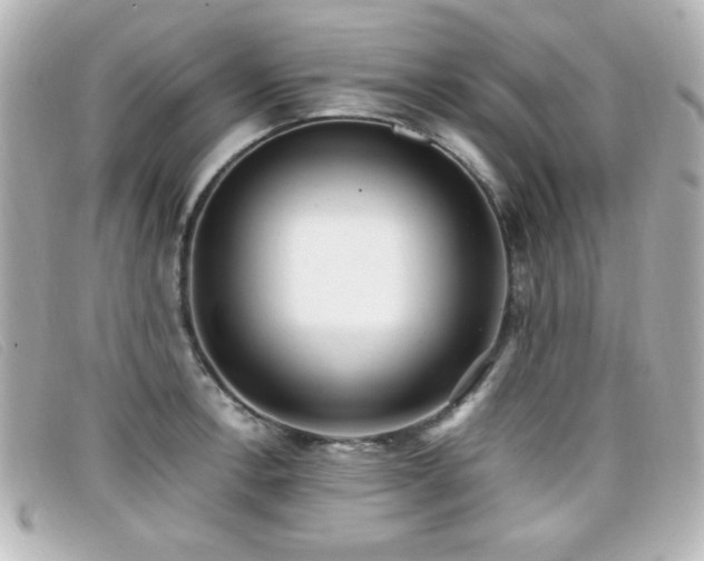 X0000099431138200805091244