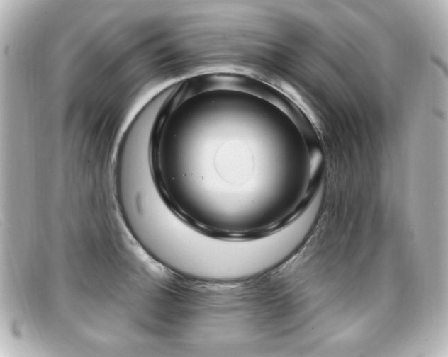X0000099431140200805091244