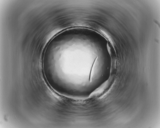 X0000099431141200805091244
