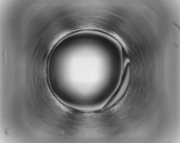 X0000099431142200805091244