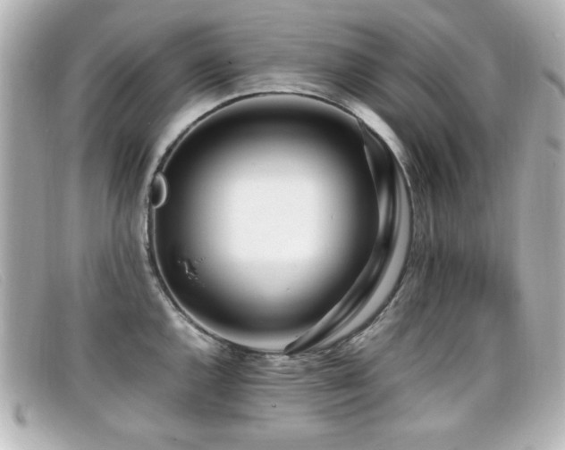 X0000099431144200805091244