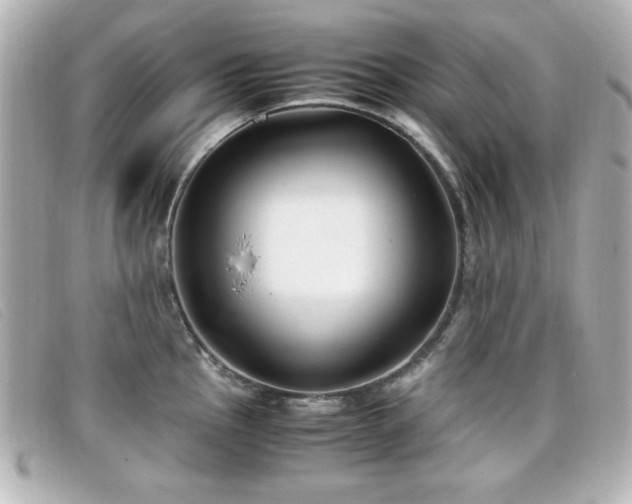 X0000099431145200805091244