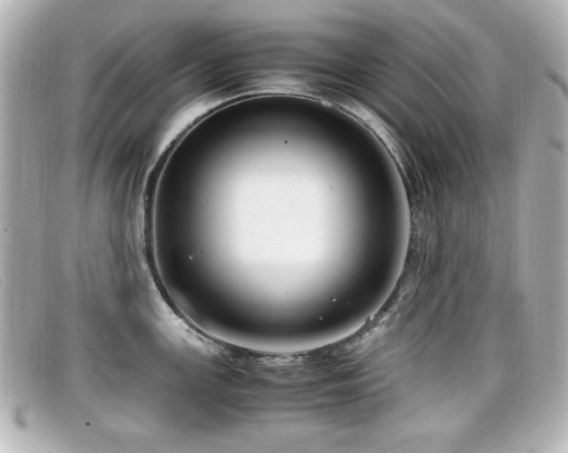 X0000099431147200805091244