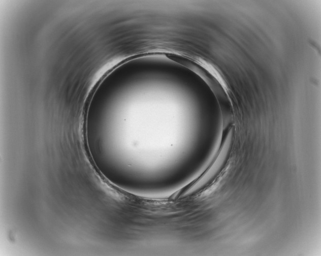 X0000099431149200805091244
