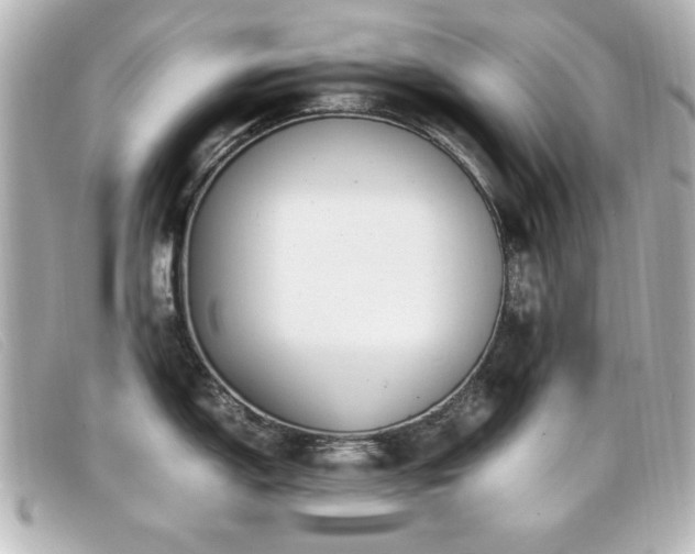 X0000099431150200805091245