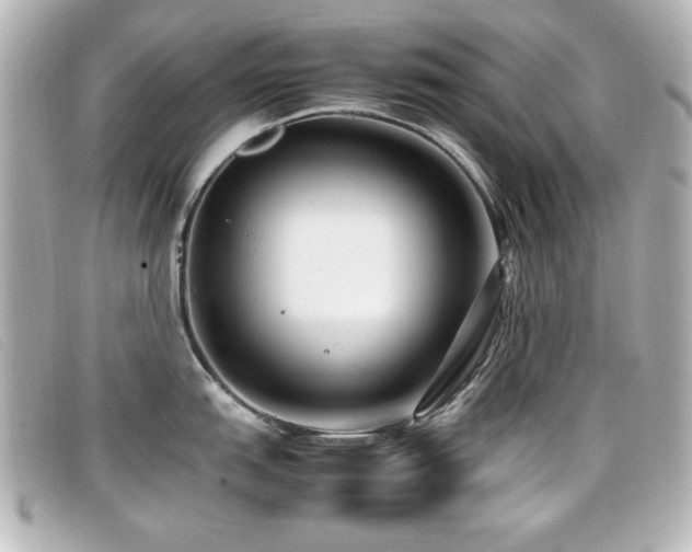 X0000099431151200805091245