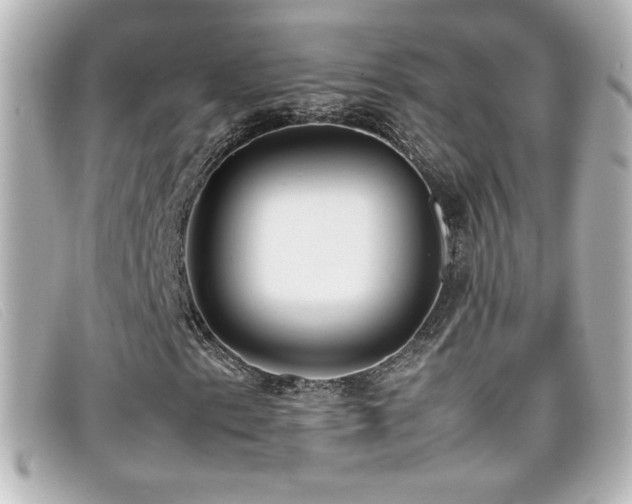 X0000099431153200805091244
