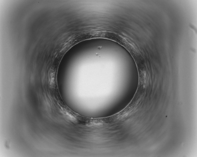 X0000099431154200805091244