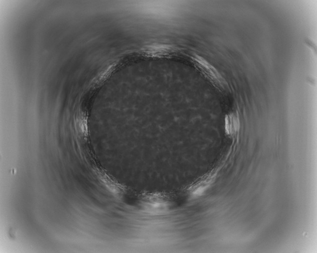 X0000099431155200805091244
