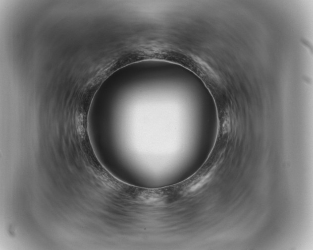 X0000099431156200805091244
