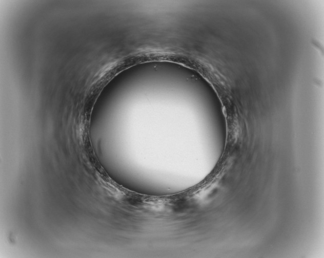 X0000099431157200805091244
