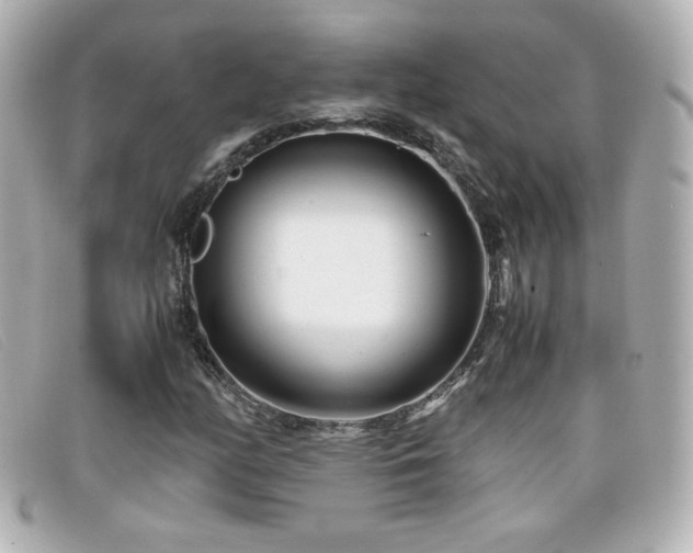 X0000099431158200805091244