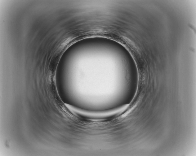 X0000099431161200805091244