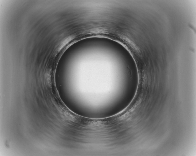 X0000099431162200805091244