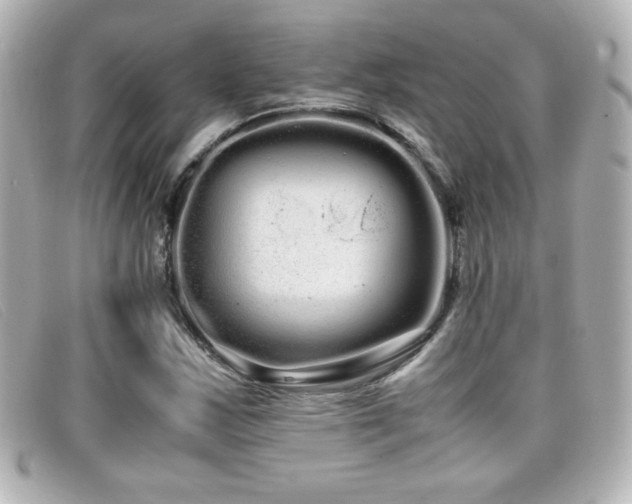 X0000099431163200805091244