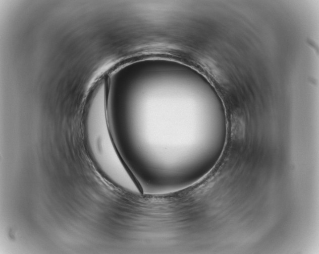 X0000099431164200805091244