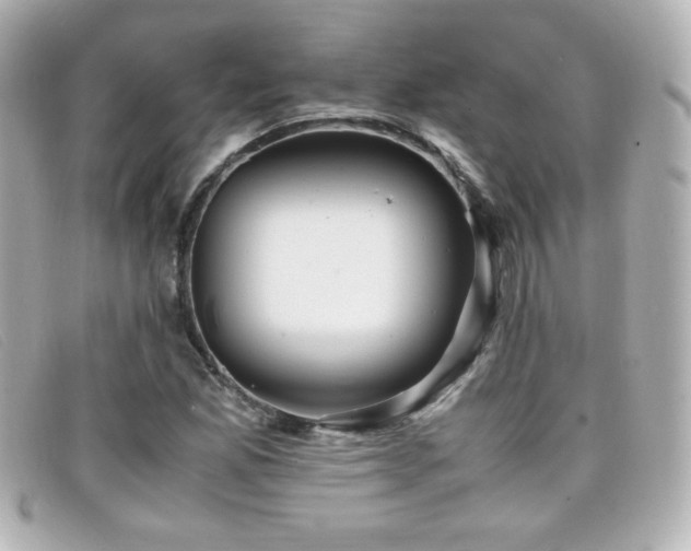 X0000099431165200805091244