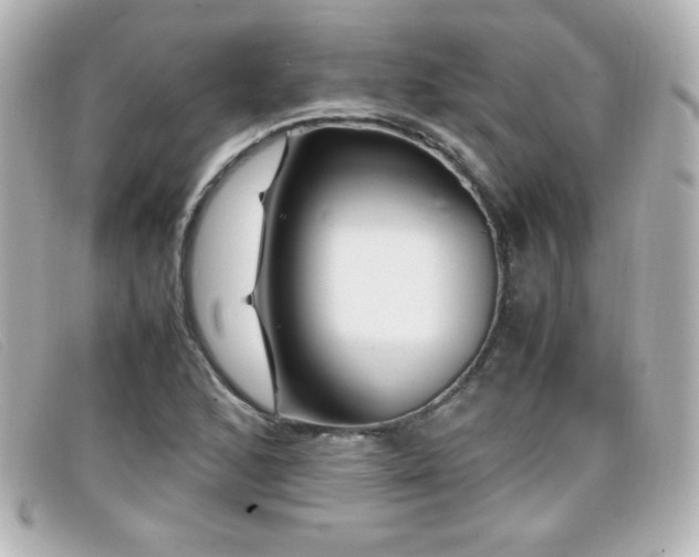X0000099431168200805091244