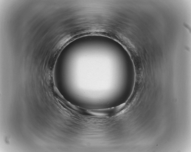 X0000099431169200805091244