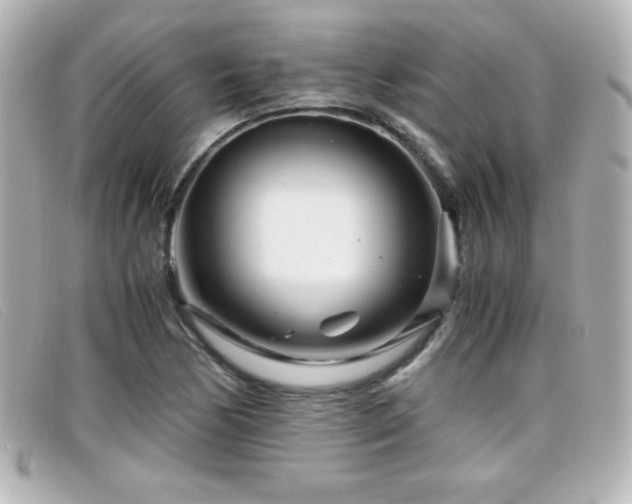 X0000099431170200805091244