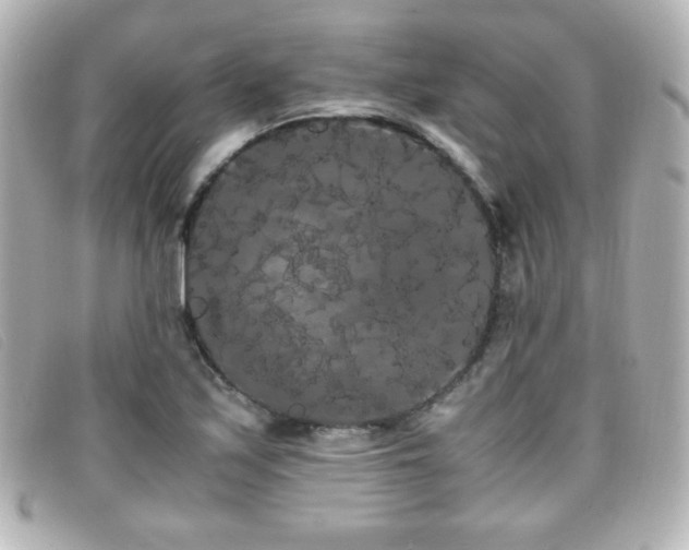 X0000099431171200805091244