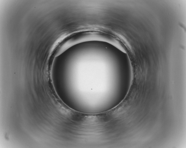 X0000099431172200805091244