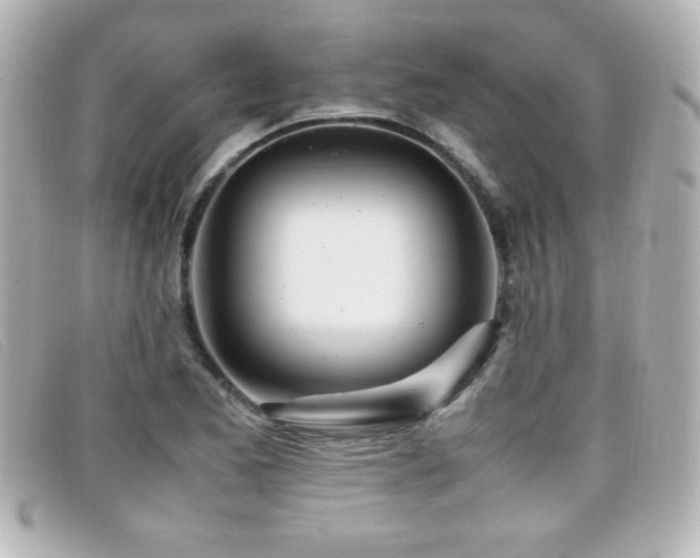 X0000099431173200805091244