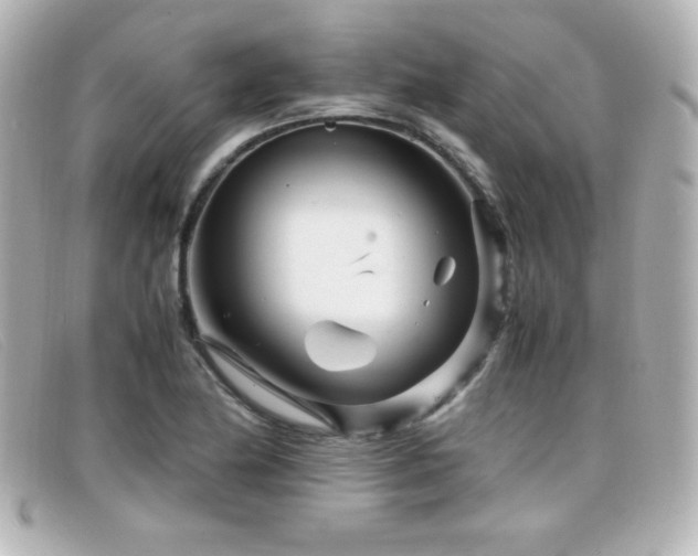 X0000099431174200805091244